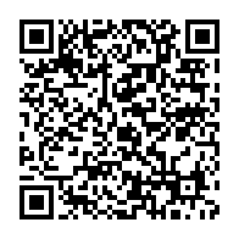 UPI QR Code